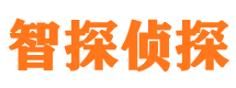 鲁甸市私家侦探